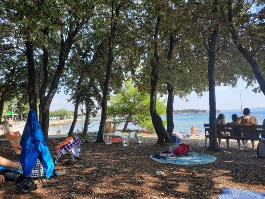 Apartments Summer Touch Petrcane Luaran gambar